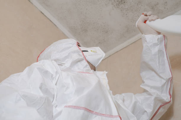 Best Commercial Mold Inspection  in Monroe, OH